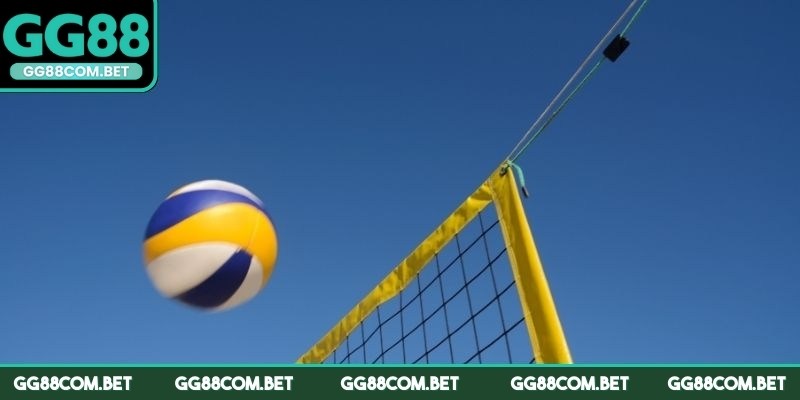 Hình thức cá cược bóng chuyền được nhiều người lựa chọn